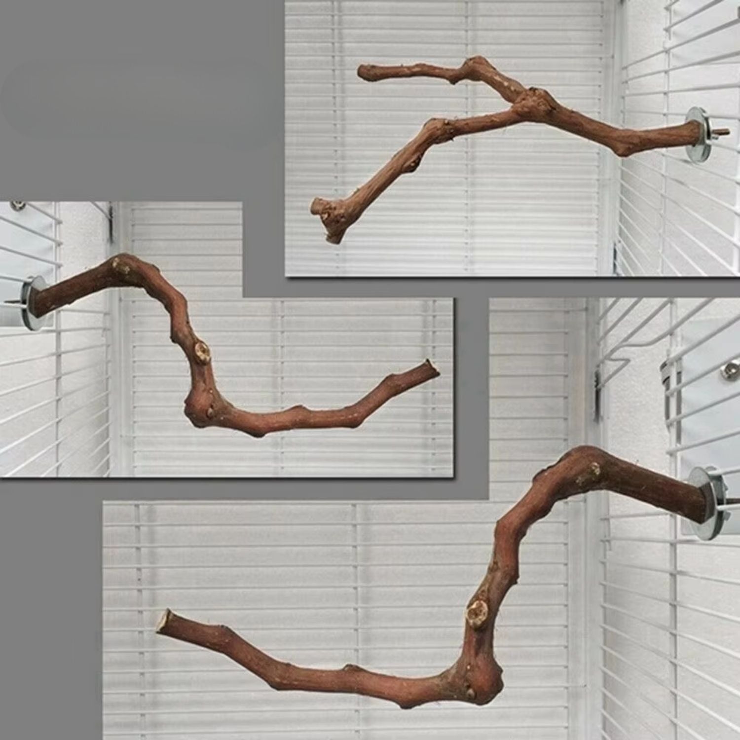 Natuurlijke Vogelstand diverse takken in kooi